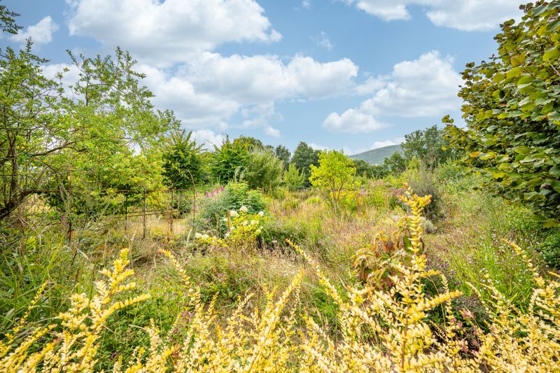 Garden- click for photo gallery